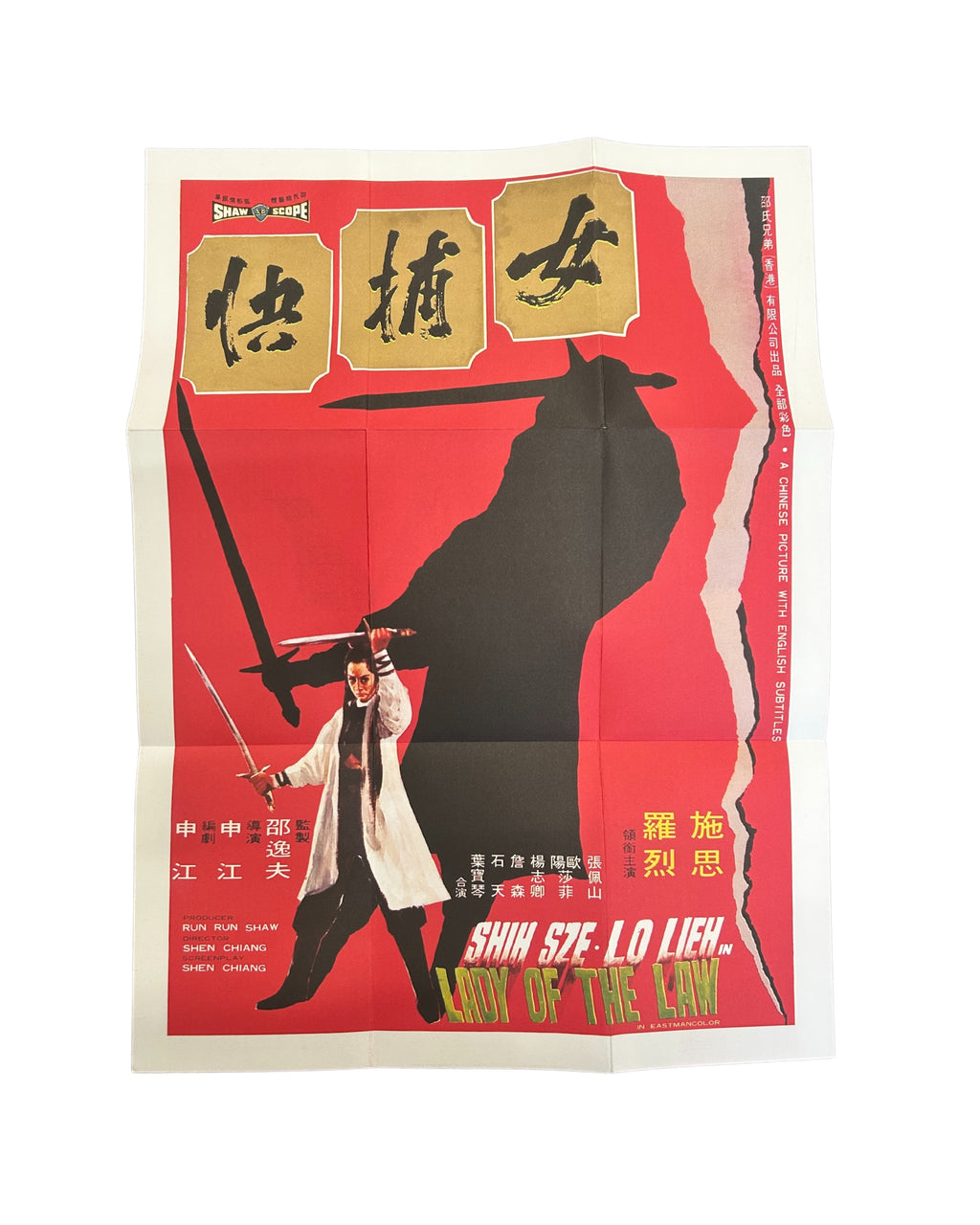 Lady of the Law - Poster