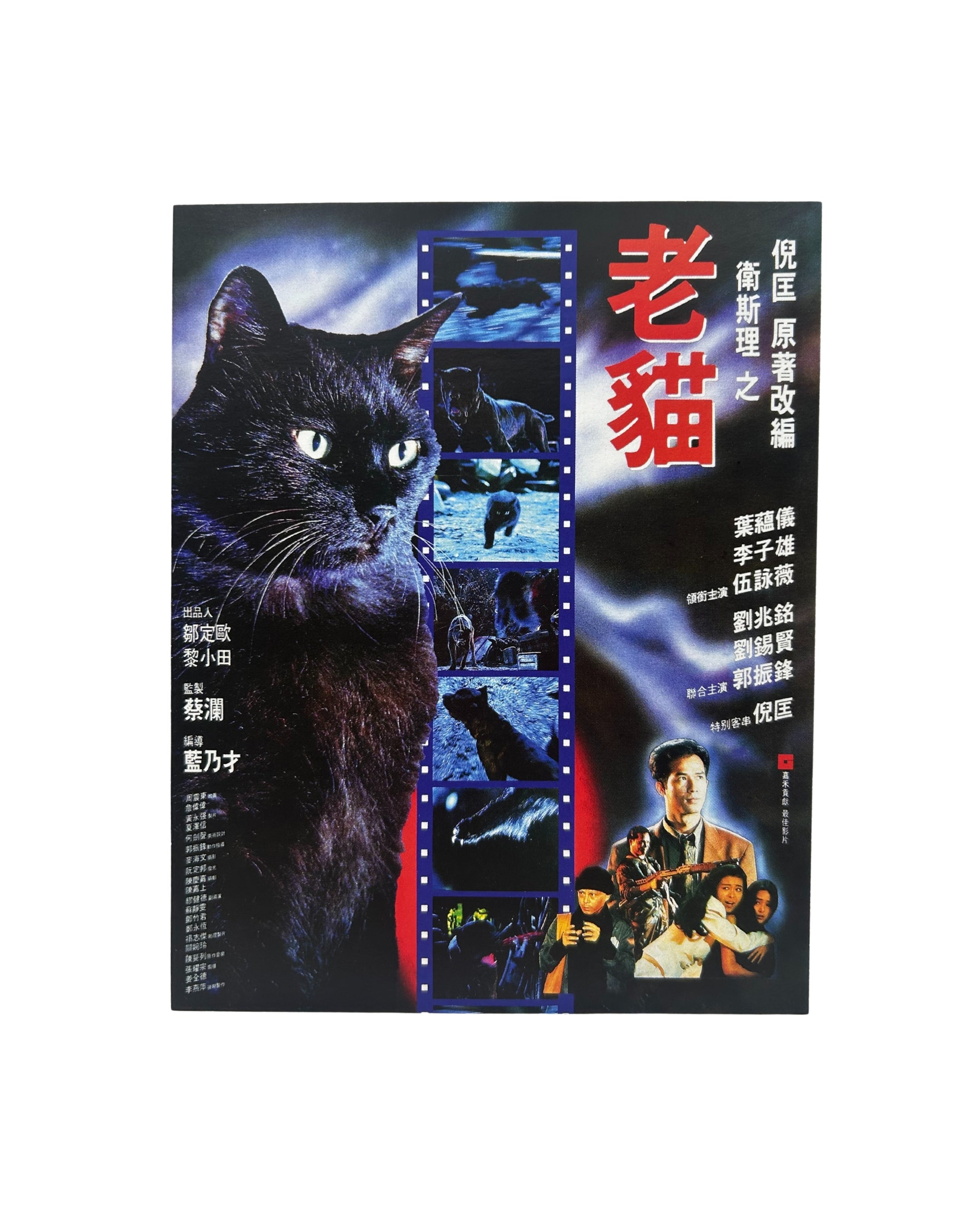 The Cat - Bundle